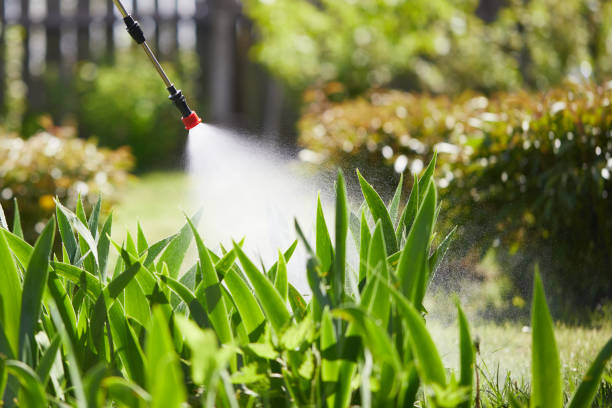 24/7 Emergency Fumigation Services experts in Marseilles, IL