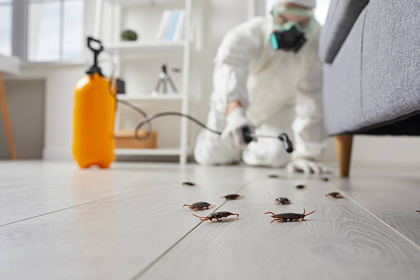 Trusted Fumigation Services service in Marseilles, IL - Nex Pest Control