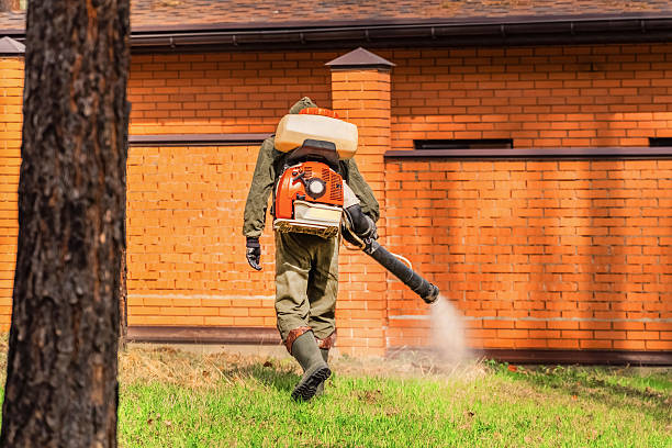 Trusted Emergency Pest Control service in Marseilles, IL - Nex Pest Control
